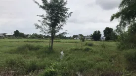 Land for sale in Buak Khang, Chiang Mai