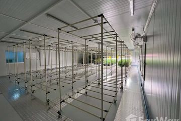 House for rent in O Ngoen, Bangkok