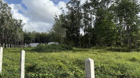 Land for sale in Si Sunthon, Phuket