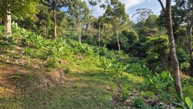 Land for sale in Kamala, Phuket