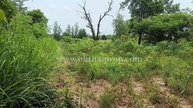 Land for sale in Na Wang Hin, Chonburi
