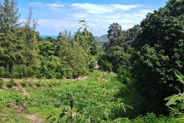 Land for sale in Maret, Surat Thani