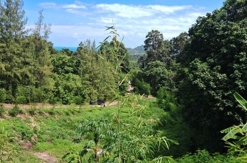 Land for sale in Maret, Surat Thani