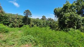 Land for sale in Maret, Surat Thani
