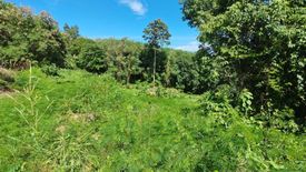 Land for sale in Maret, Surat Thani