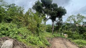 Land for sale in Na Mueang, Surat Thani