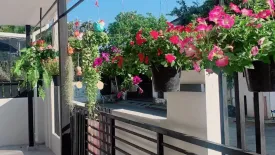 4 Bedroom House for rent in Karnkanok ville 12, San Pong, Chiang Mai