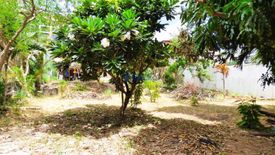 Land for sale in Nong Prue, Chonburi
