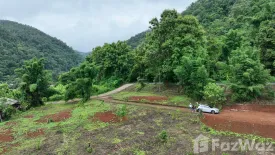 Land for sale in Ban Pong, Chiang Mai