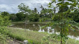 Land for sale in Huai Sai Nua, Phetchaburi