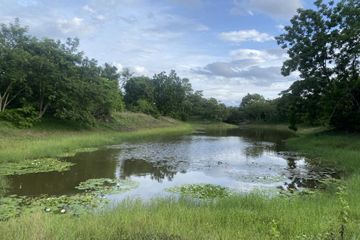 Land for sale in Huai Sai Nua, Phetchaburi