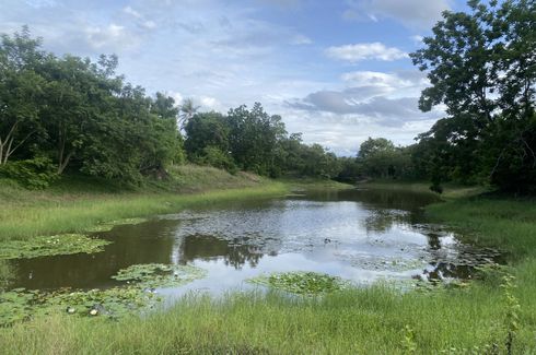 Land for sale in Huai Sai Nua, Phetchaburi