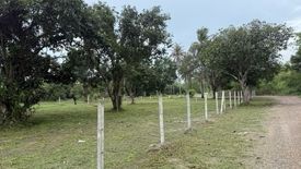 Land for sale in Huai Sai Nua, Phetchaburi