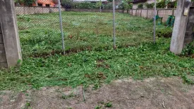 Land for sale in Tha Sai, Chiang Rai