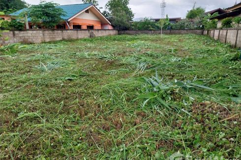 Land for sale in Tha Sai, Chiang Rai