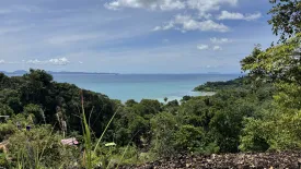 Land for sale in Ratsada, Phuket