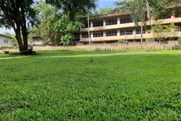 Land for sale in Chang Khlan, Chiang Mai
