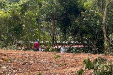 Land for sale in Bo Phut, Surat Thani