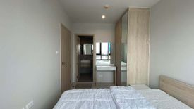 Condo for rent in Nue Noble Ngamwongwan, Bang Khen, Nonthaburi