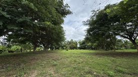 Land for sale in Nong Chom, Chiang Mai