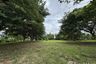 Land for sale in Nong Chom, Chiang Mai