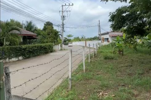 Land for sale in Nong Chom, Chiang Mai
