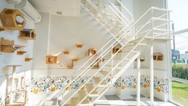 6 Bedroom Villa for sale in Tha Wang Tan, Chiang Mai