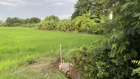 Land for sale in Mueang Kao, Chachoengsao