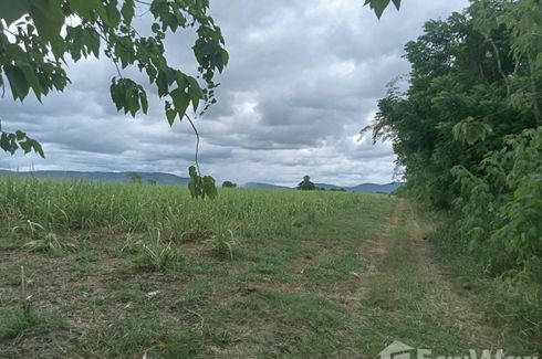 Land for sale in Wang Sai, Nakhon Ratchasima