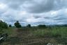 Land for sale in Wang Sai, Nakhon Ratchasima