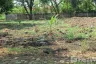 Land for sale in Lakewood Village, Bang Chalong, Samut Prakan