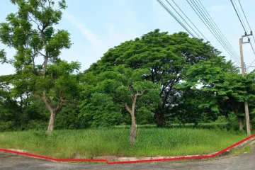 Land for sale in Lakewood Village, Bang Chalong, Samut Prakan