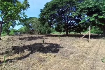 Land for sale in Lakewood Village, Bang Chalong, Samut Prakan