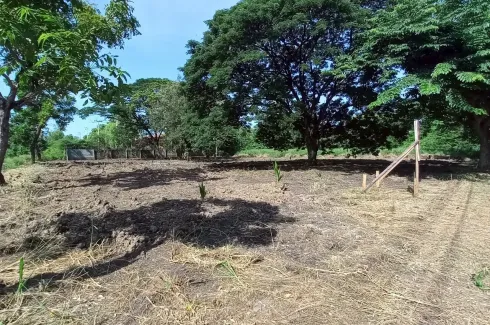 Land for sale in Lakewood Village, Bang Chalong, Samut Prakan