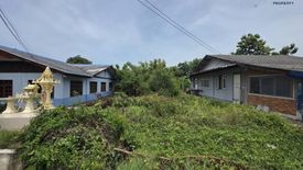 1 Bedroom Land for sale in Bang Sai, Phra Nakhon Si Ayutthaya