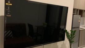 1 Bedroom Condo for sale in Knightsbridge Prime Onnut, Phra Khanong Nuea, Bangkok near BTS On Nut