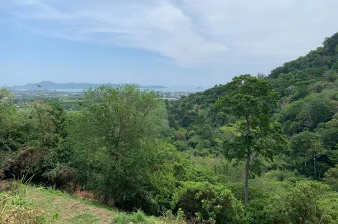 Land for sale in Chalong, Phuket