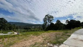 Land for sale in Bo Phut, Surat Thani
