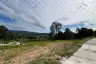 Land for sale in Bo Phut, Surat Thani