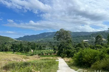 Land for sale in Bo Phut, Surat Thani