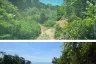 Land for sale in Ratsada, Phuket