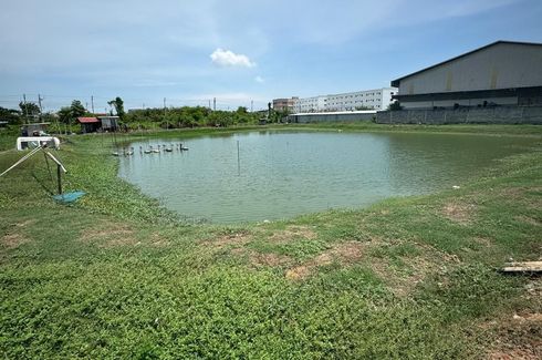 Land for sale in Phraek Sa Mai, Samut Prakan