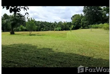 Land for sale in Khok Kloi, Phang Nga