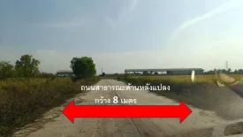 Land for sale in Bueng Ba, Pathum Thani