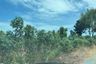 Land for sale in Huai Yai, Chonburi