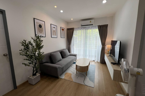 1 Bedroom Condo for rent in Phanason The City Condominium (macro), Wichit, Phuket