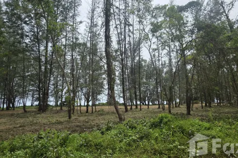 Land for sale in Mai Khao, Phuket