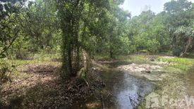 Land for sale in Mai Khao, Phuket