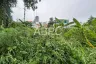 Land for sale in Nong Prue, Chonburi