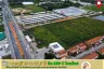 Land for sale in Sai Noi, Nonthaburi